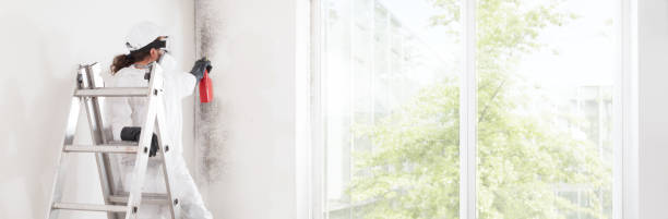 Best Mold Removal for HVAC Installations  in Tompkinsville, KY